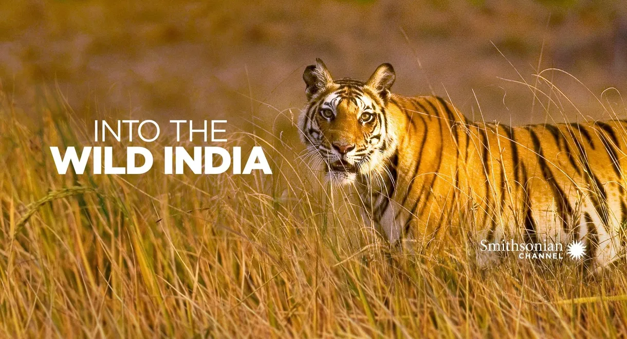 Into the Wild: India