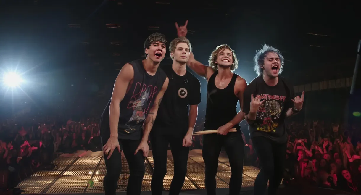 5 Seconds of Summer: How Did We End Up Here?