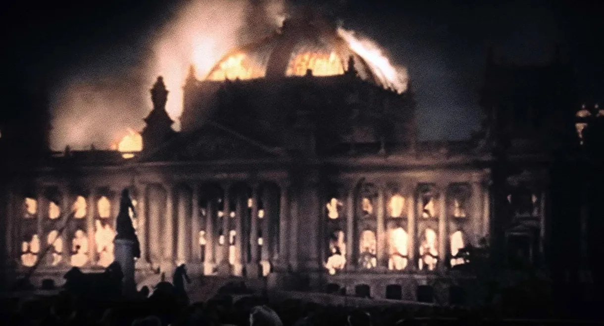 The Reichstag Fire