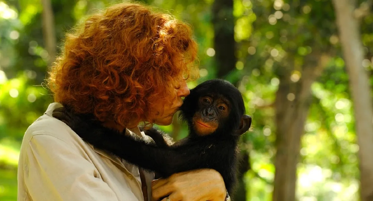 Bonobos: Back to the Wild