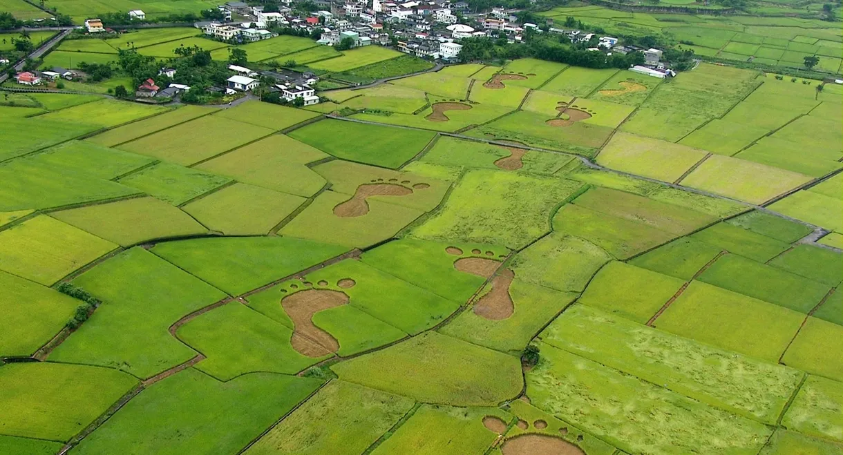 Beyond Beauty: Taiwan from Above