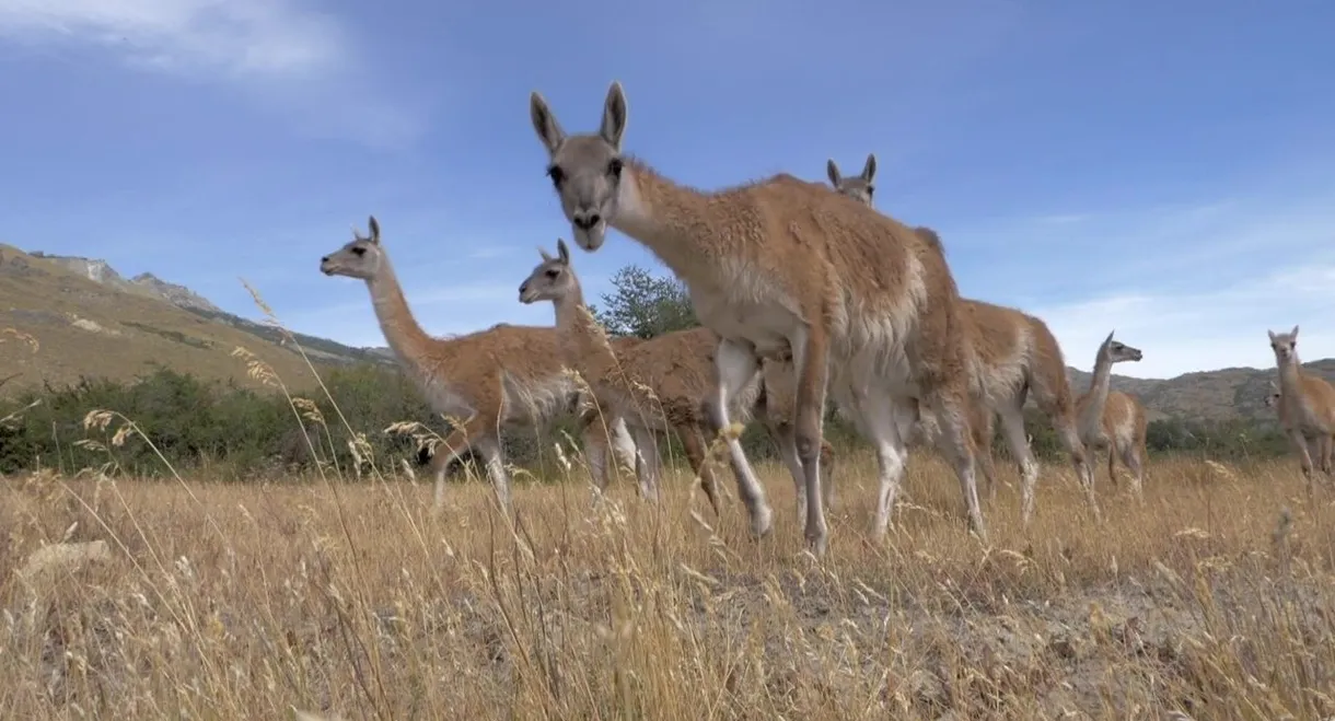 Parque Patagonia