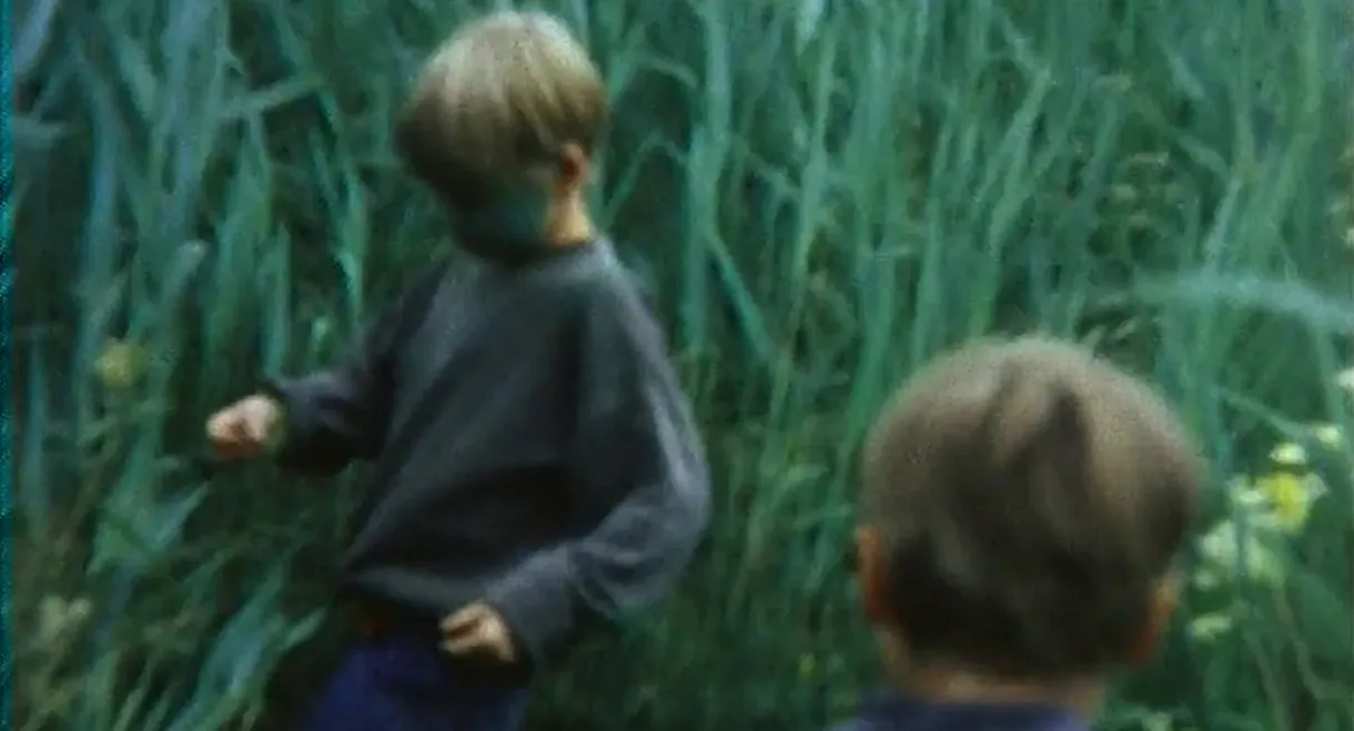 Das fliegende Bild