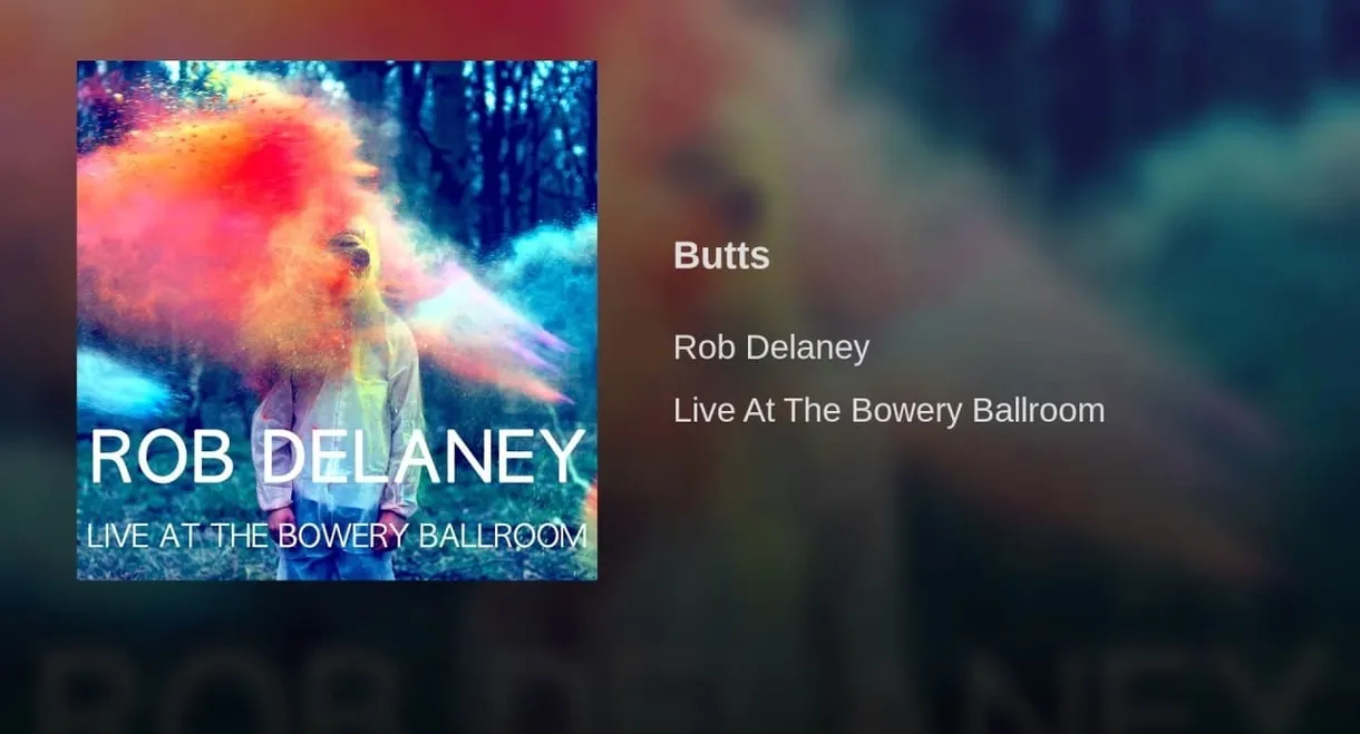 Rob Delaney: Live at the Bowery Ballroom