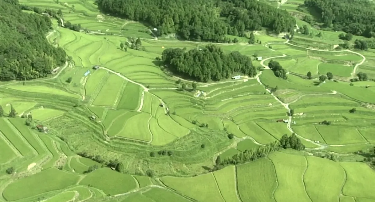 Satoyama I: Japan's Secret Watergarden