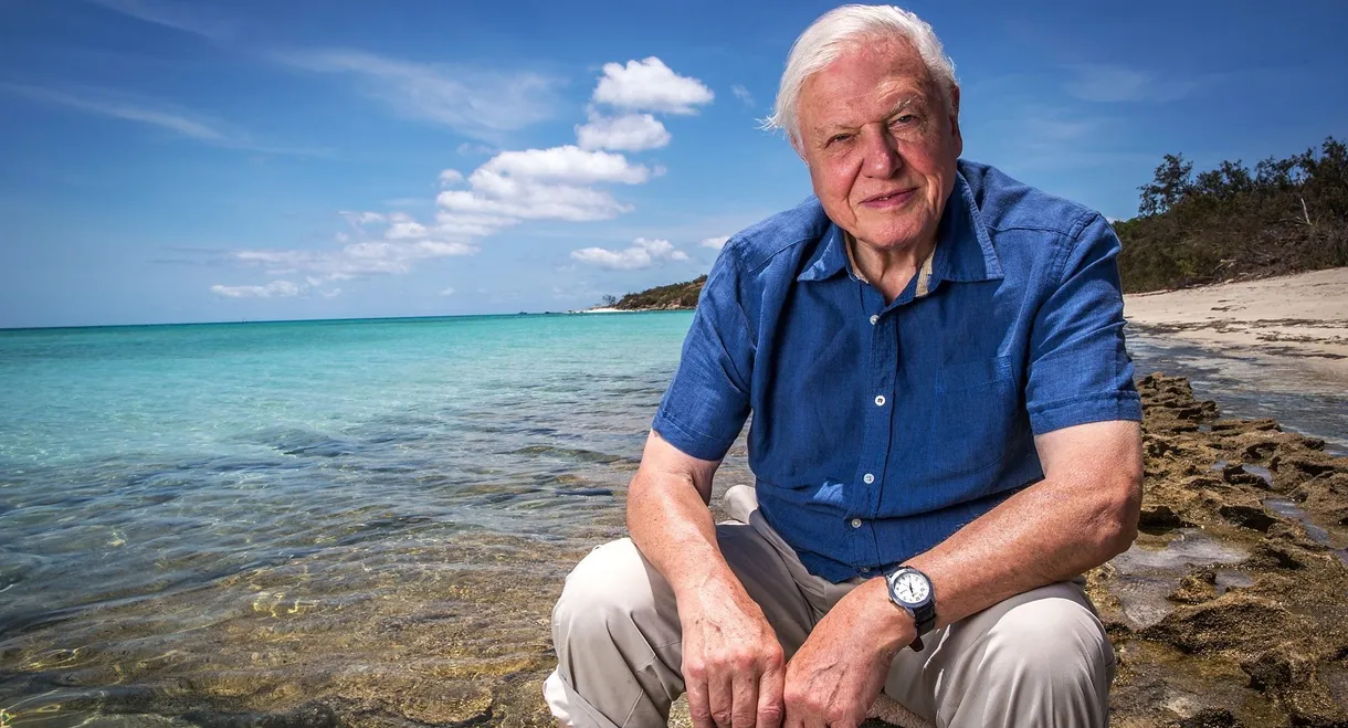 Great Barrier Reef with David Attenborough