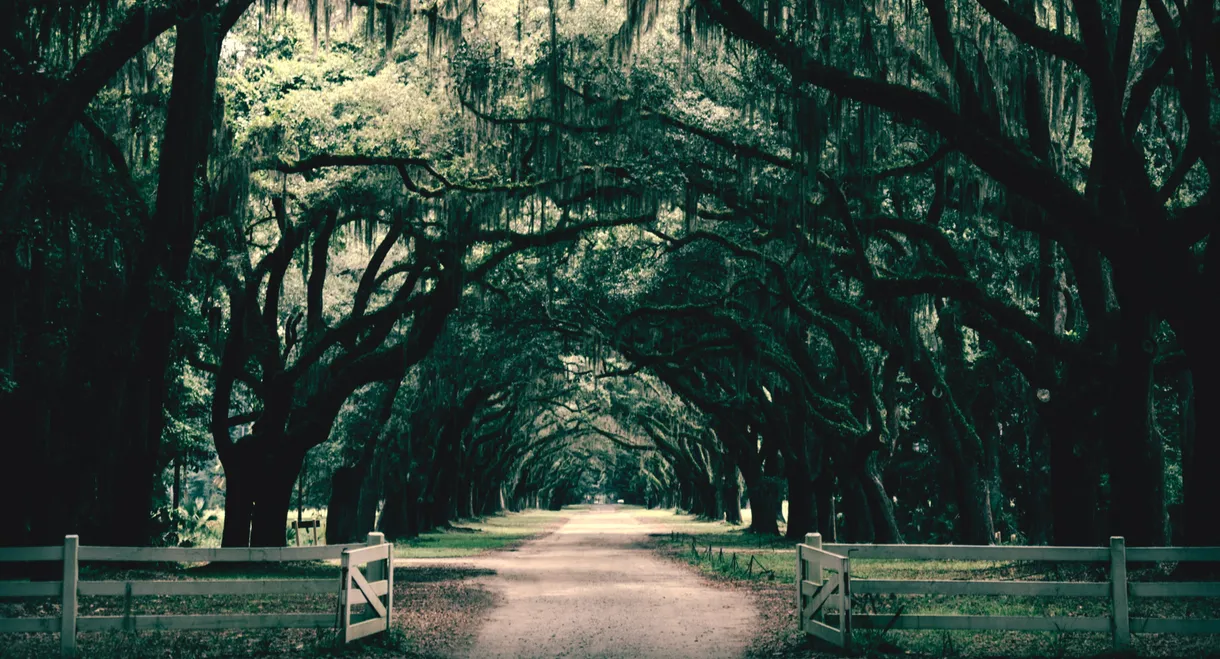 Southern Gothic