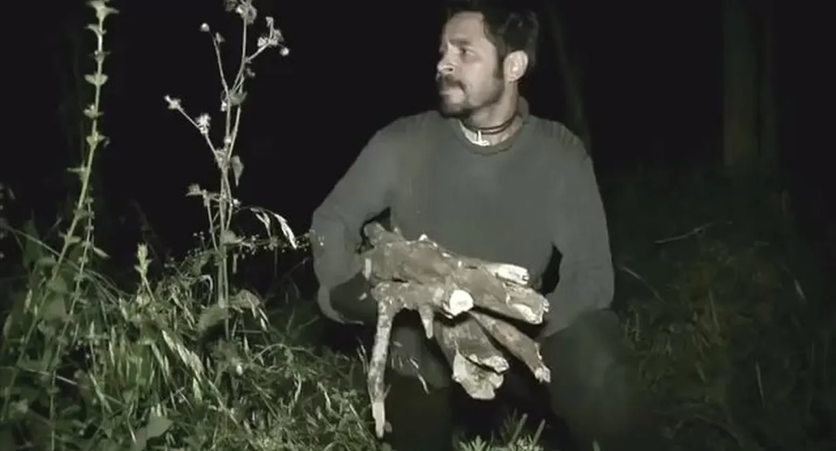 The Woodsman