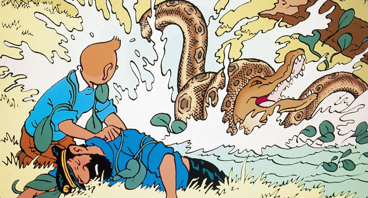 The Adventures of Tintin