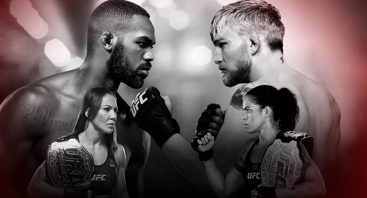 UFC 232: Jones vs. Gustafsson 2