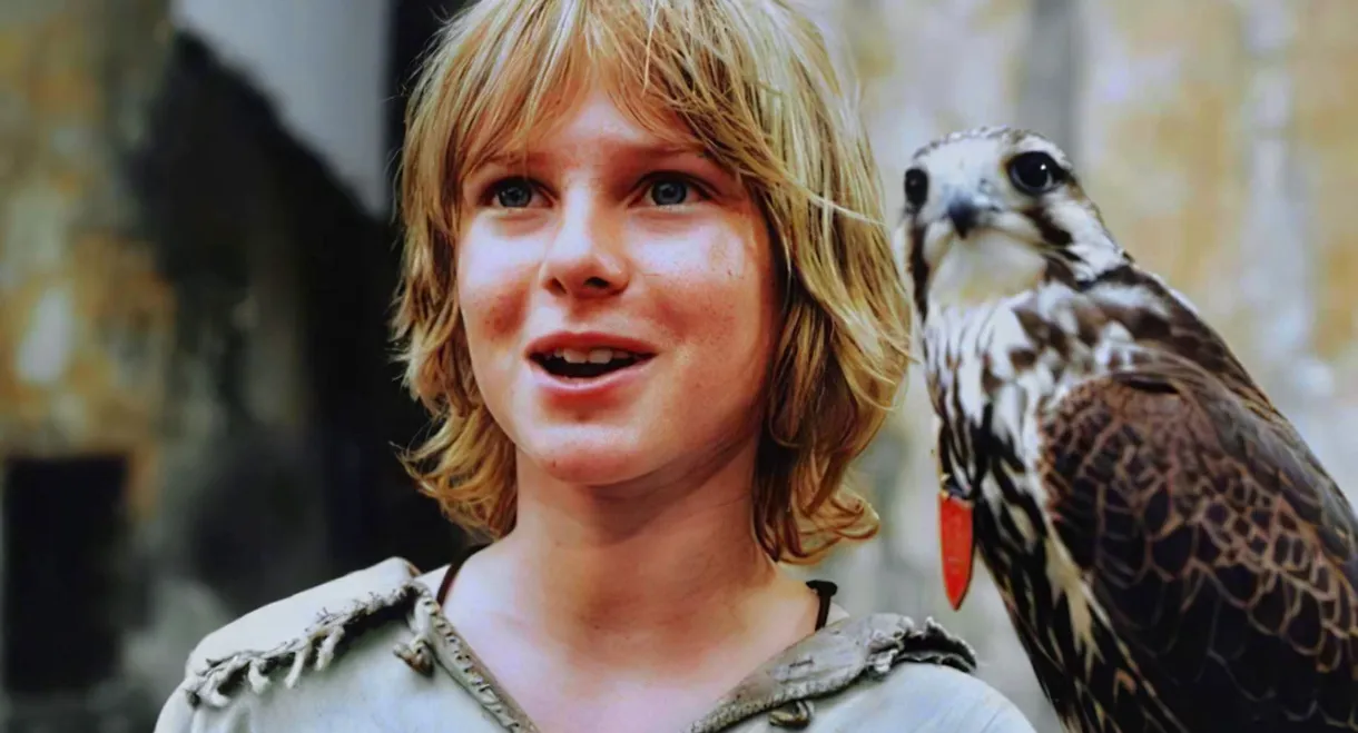 Tomáš and the Falcon King