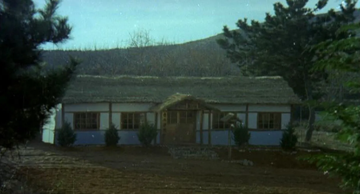 The Evergreen Tree