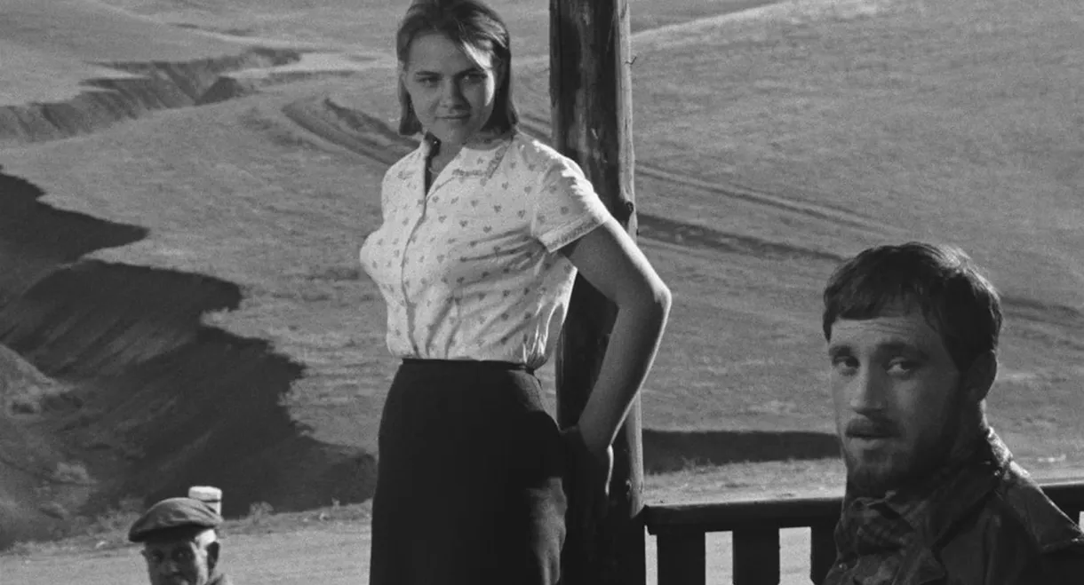 Brief Encounters