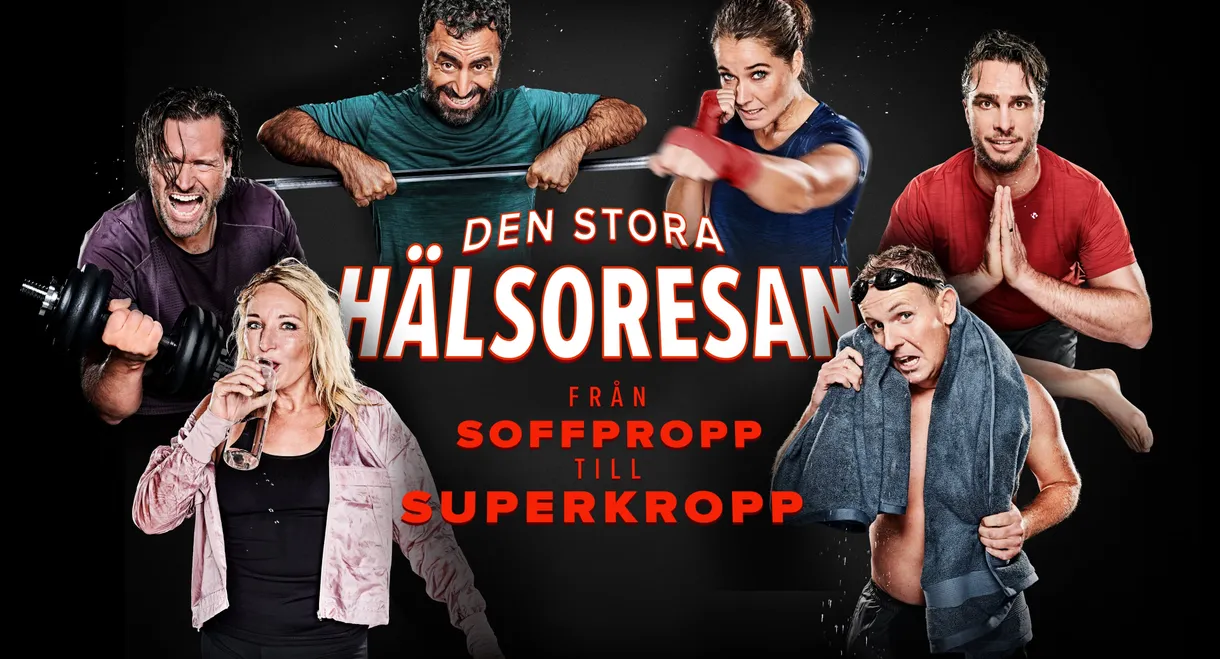 Den stora hälsoresan