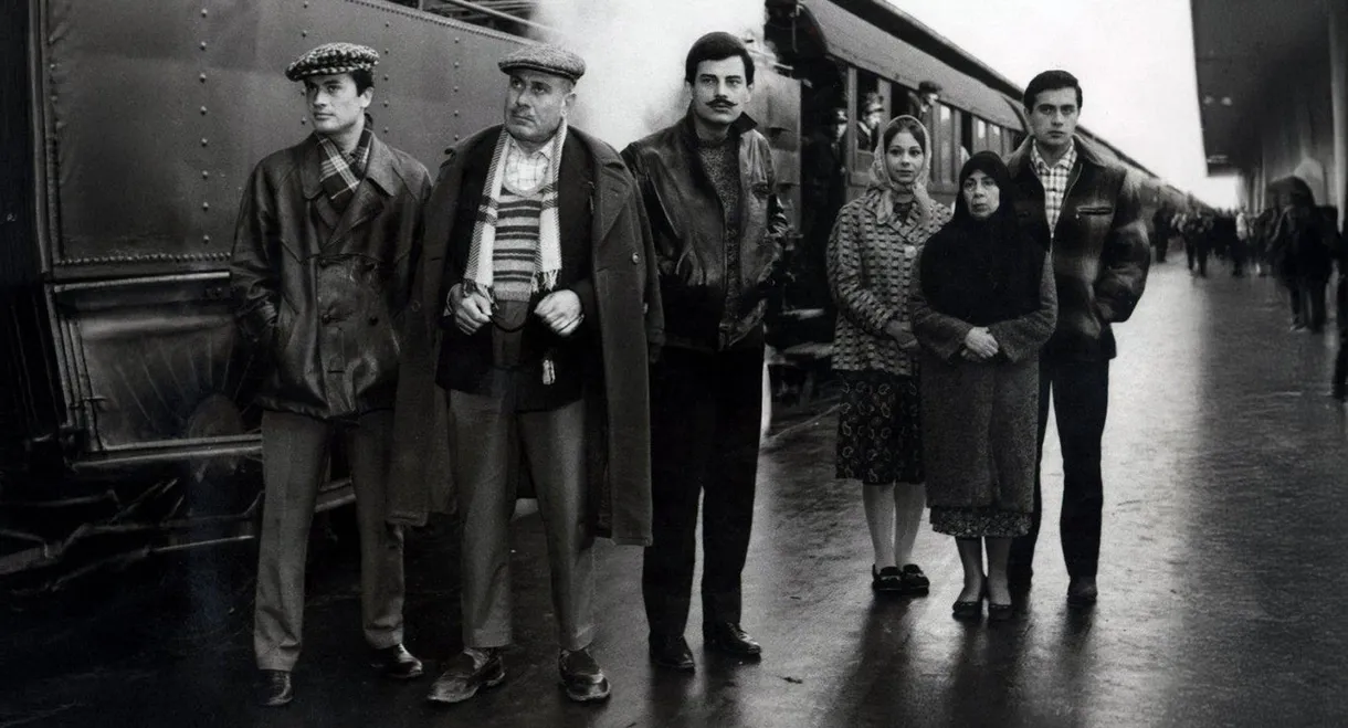 Birds of Exile