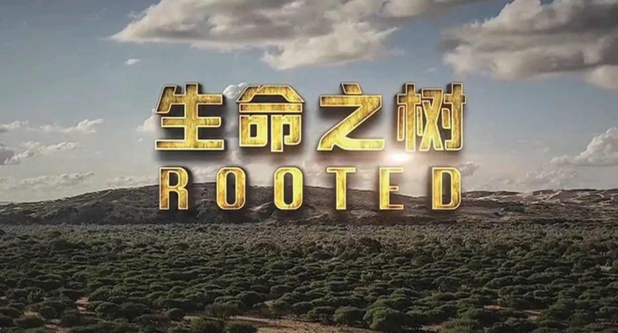 Rooted