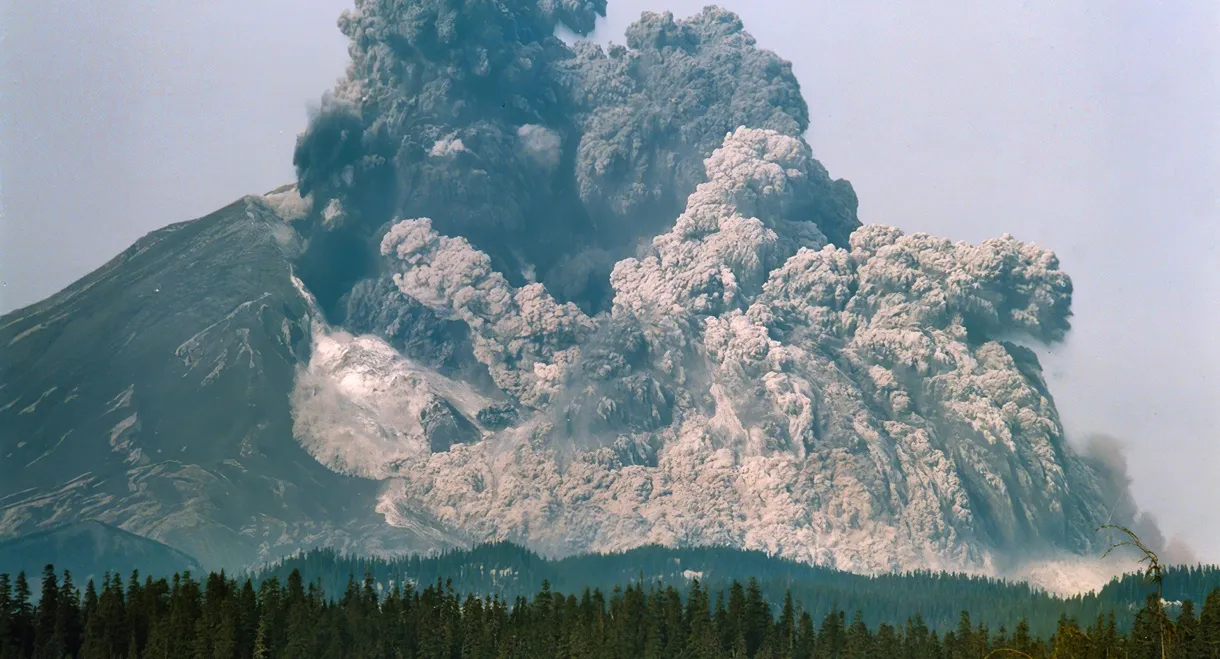 Surviving the Mount St. Helens Disaster