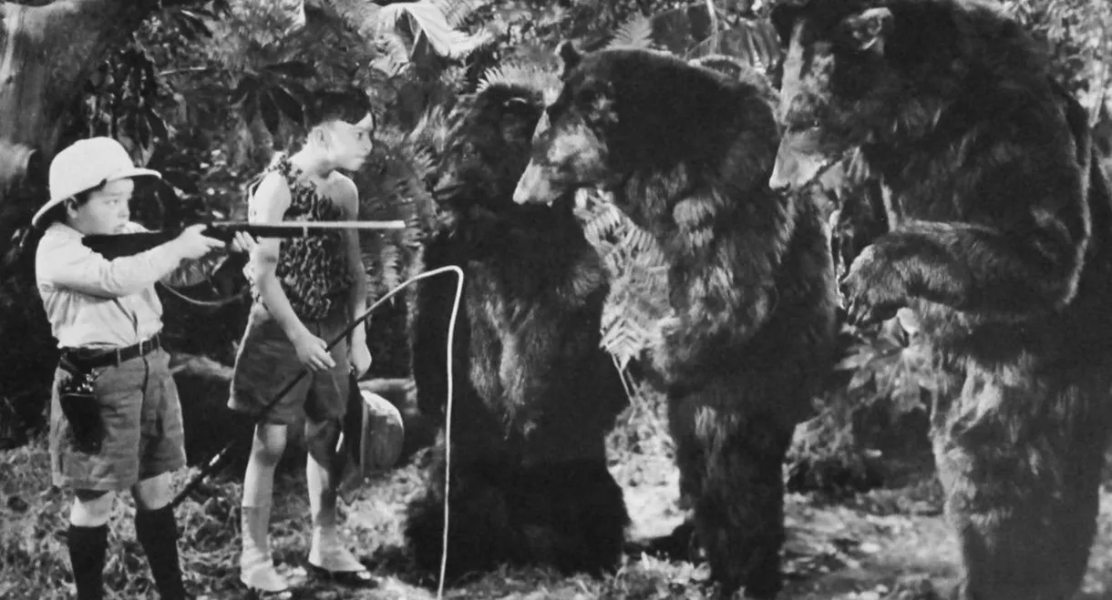 Bear Facts