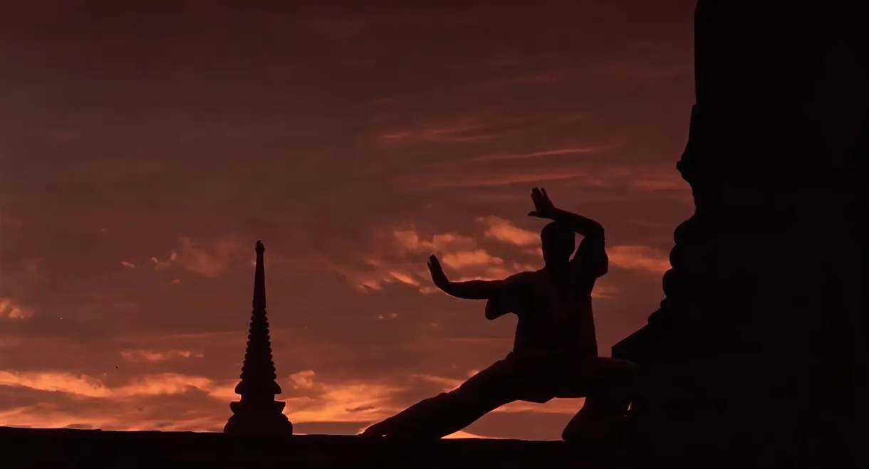 Kickboxer