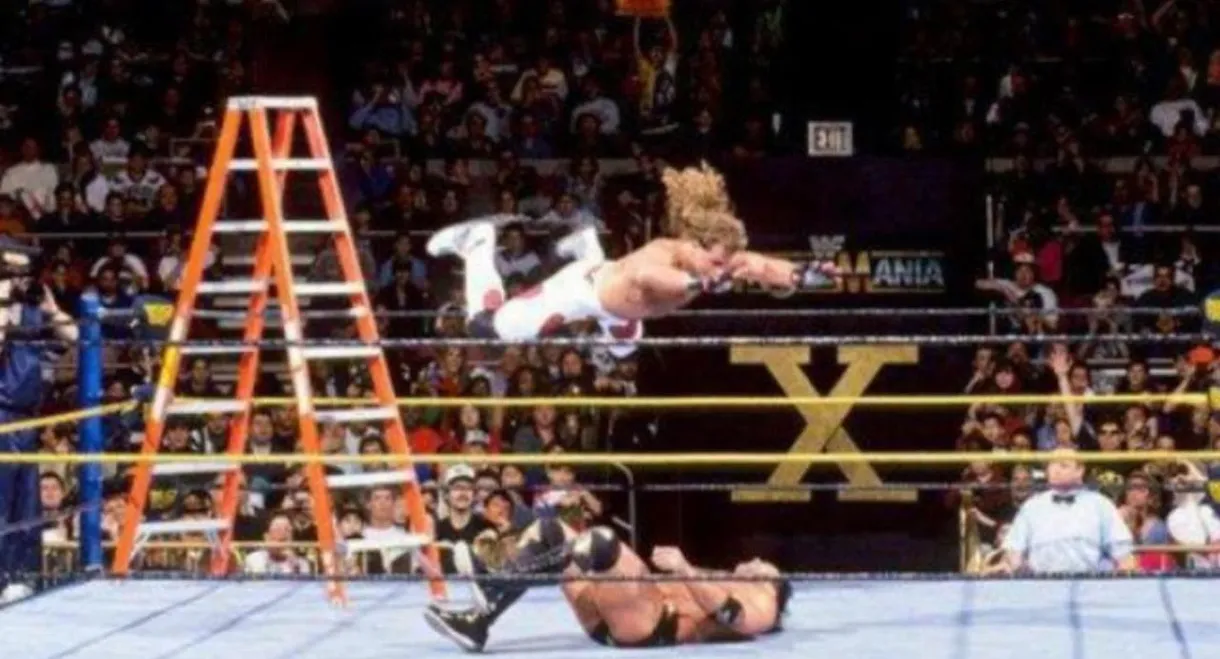 The Ladder Match 2: Crash & Burn