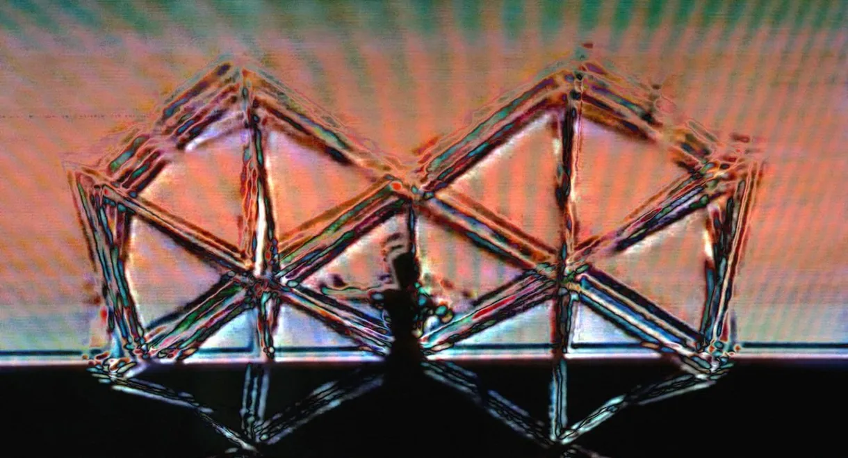 Mad Ladders