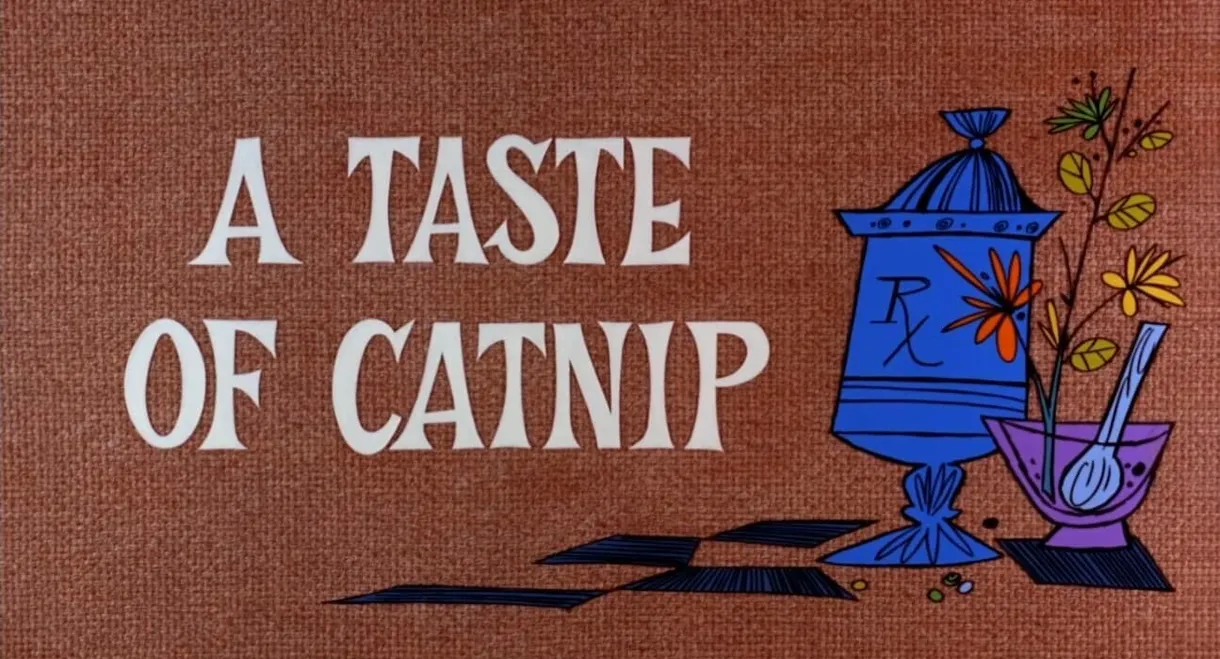 A Taste of Catnip