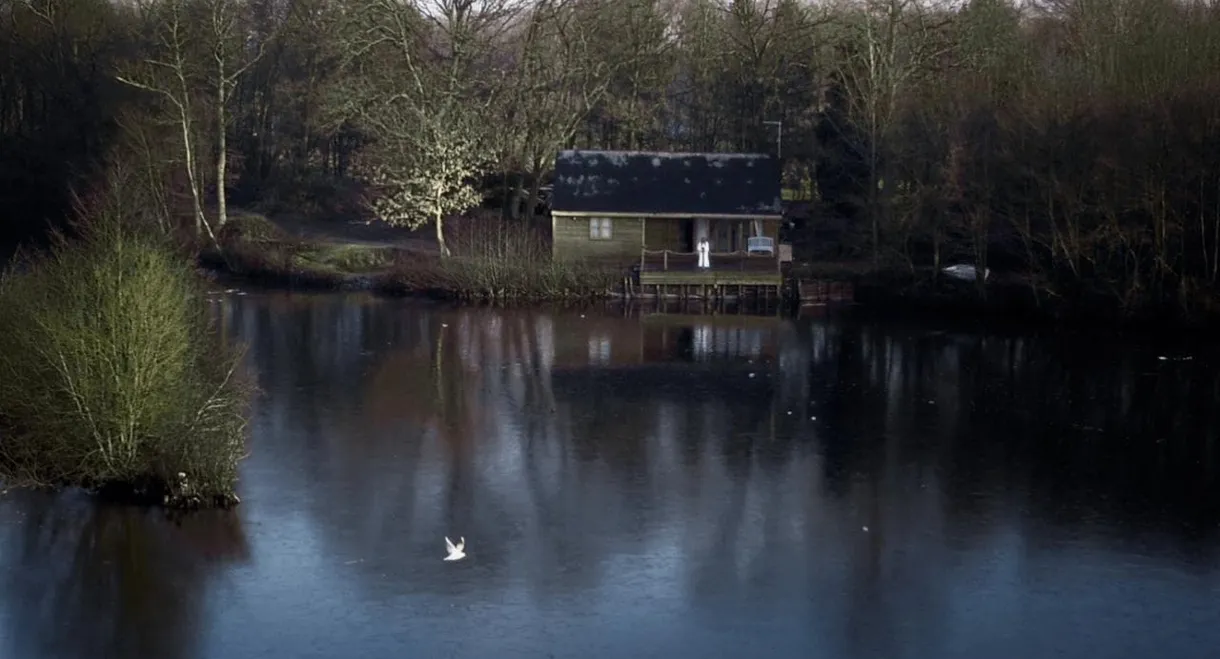 House on Elm Lake