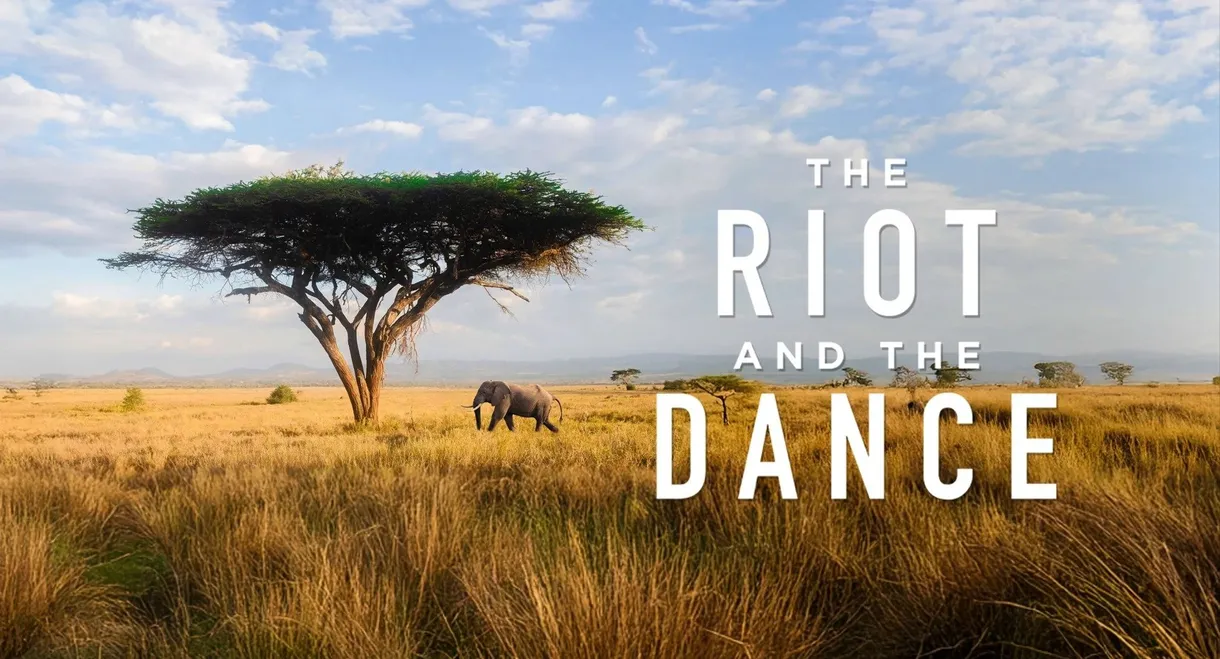 The Riot and the Dance