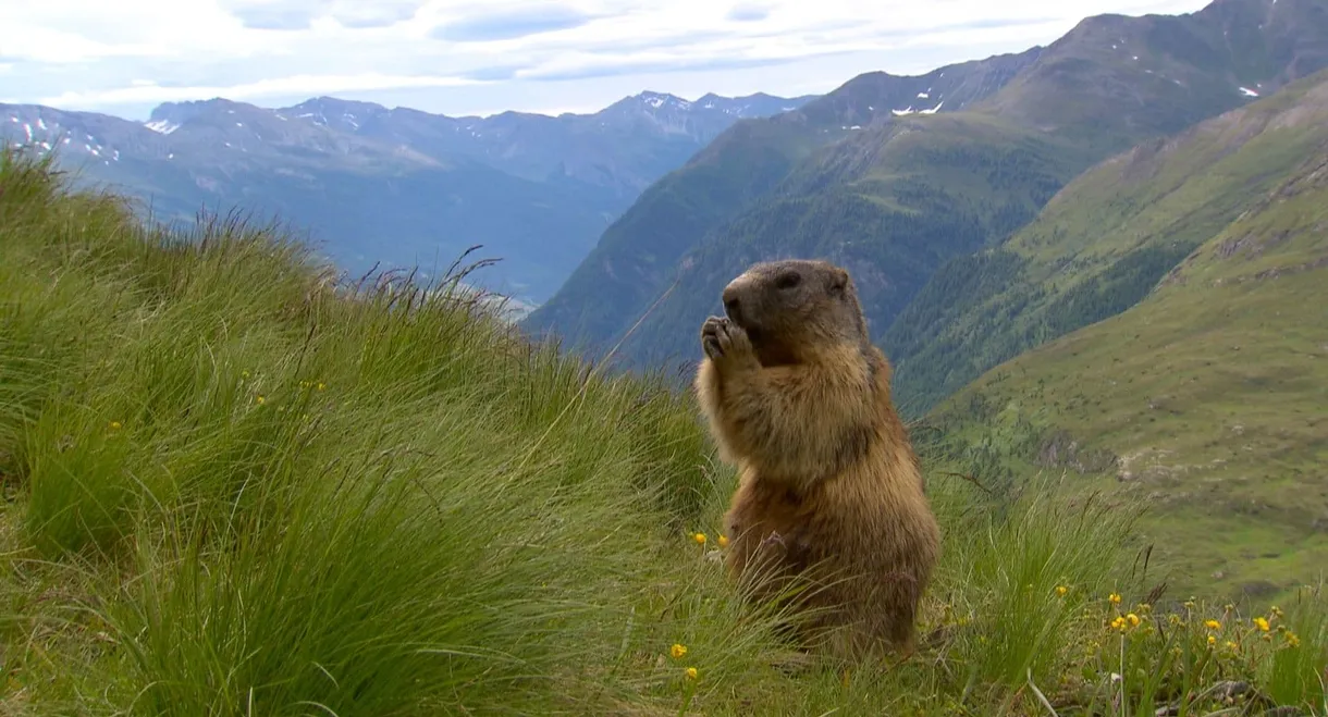 Naturparadiese mit Zukunft