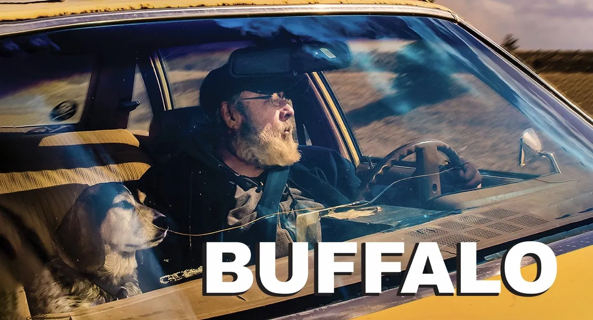 Buffalo