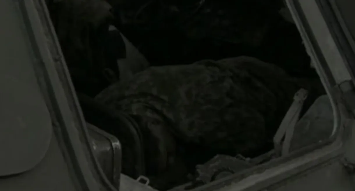 A Soldier's Dream