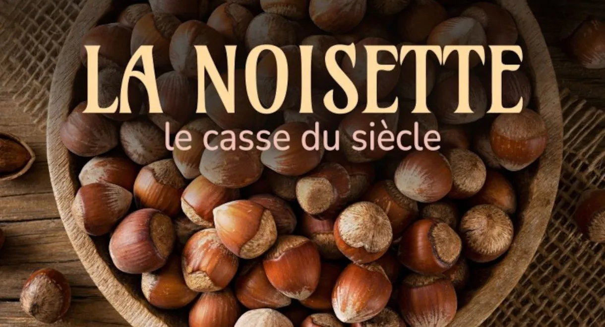 La noisette : le casse du siècle