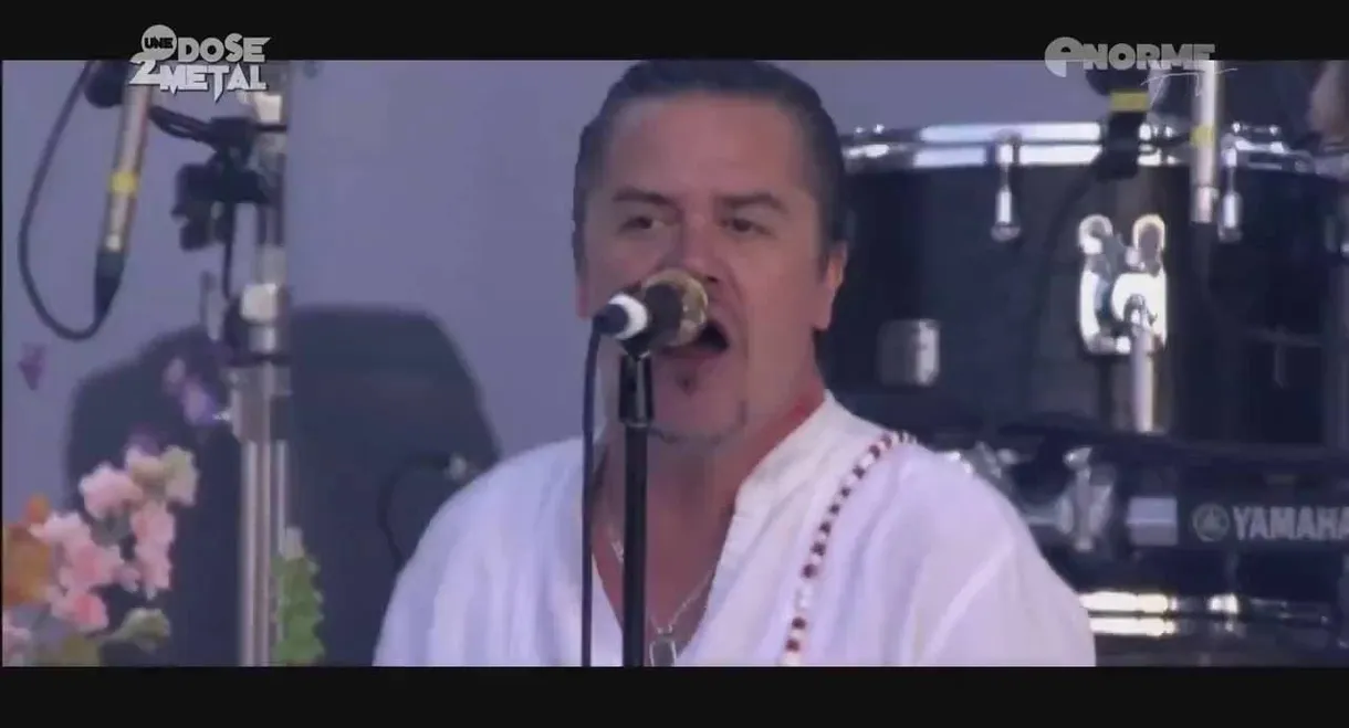 Faith No More – Live Hellfest 2015