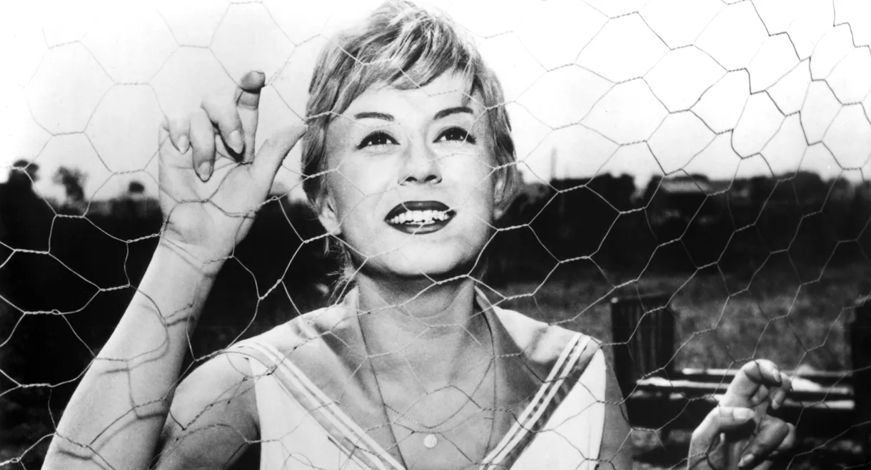 Nights of Cabiria