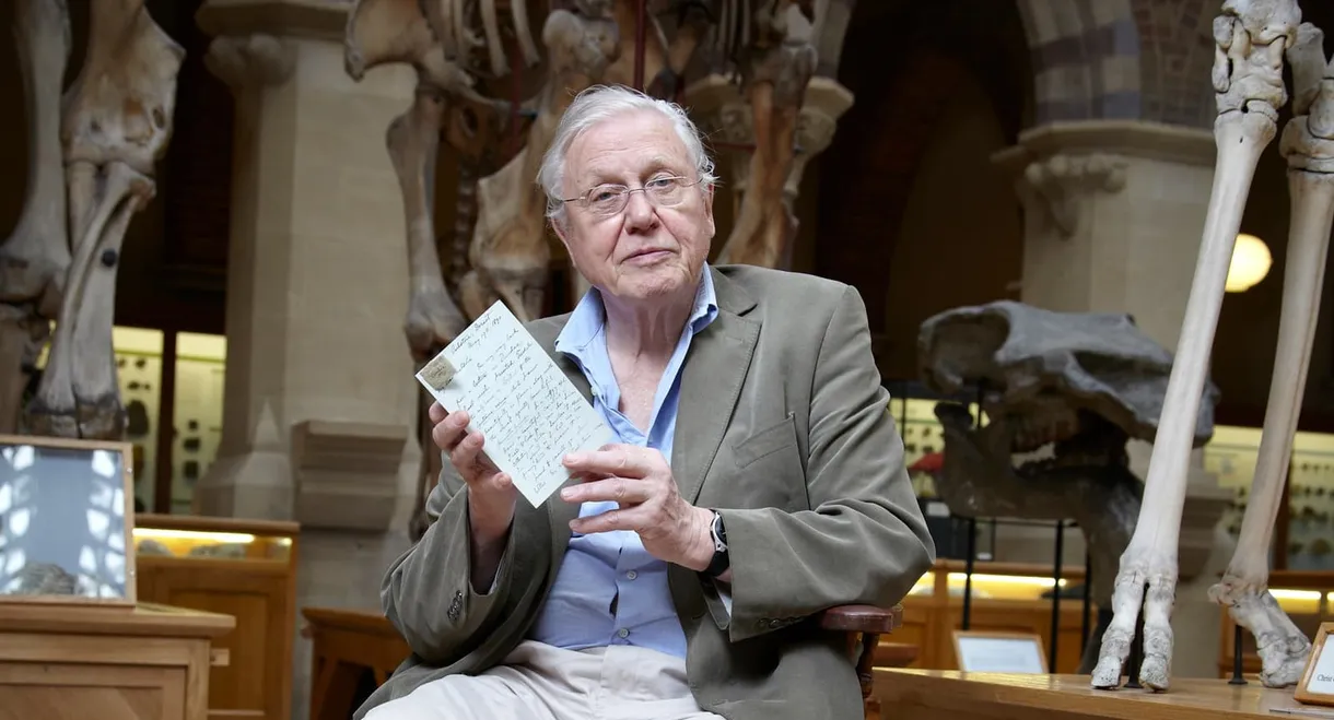 David Attenborough's Natural Curiosities