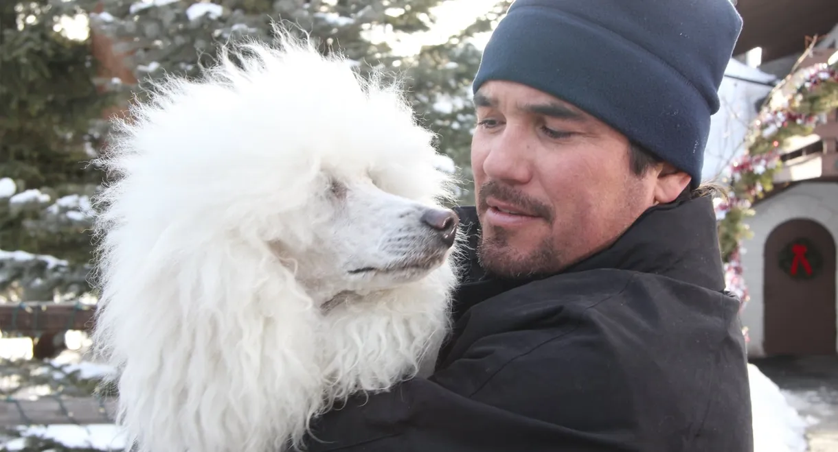 The Dog Who Saved Christmas Vacation