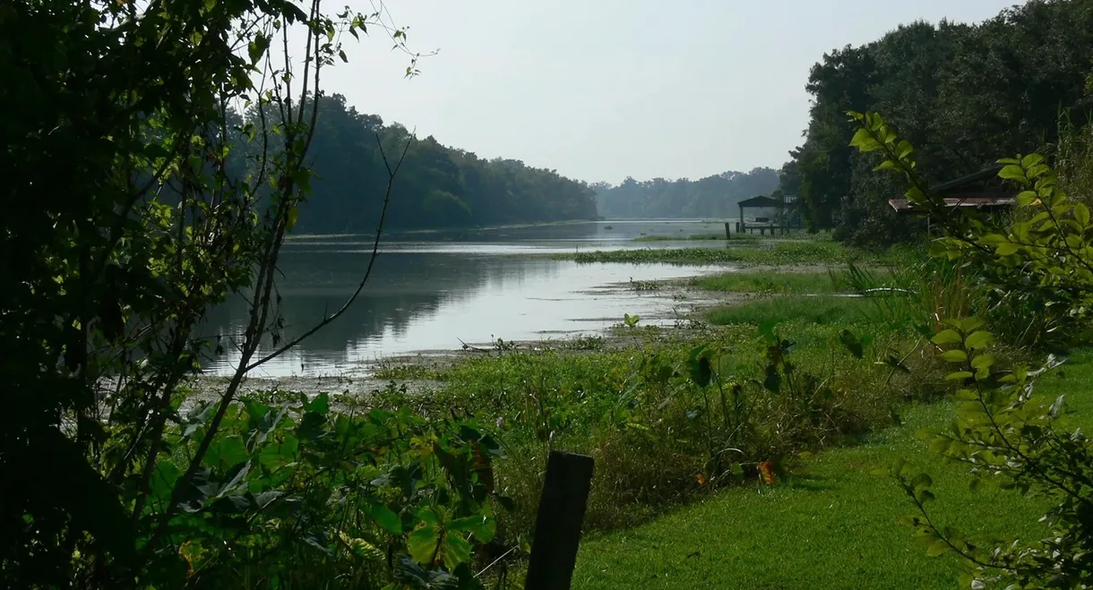 Rivers and Life