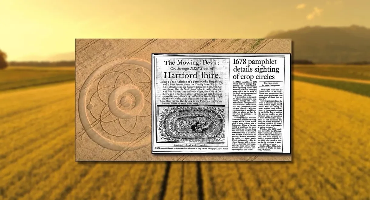 Crop Circle Realities