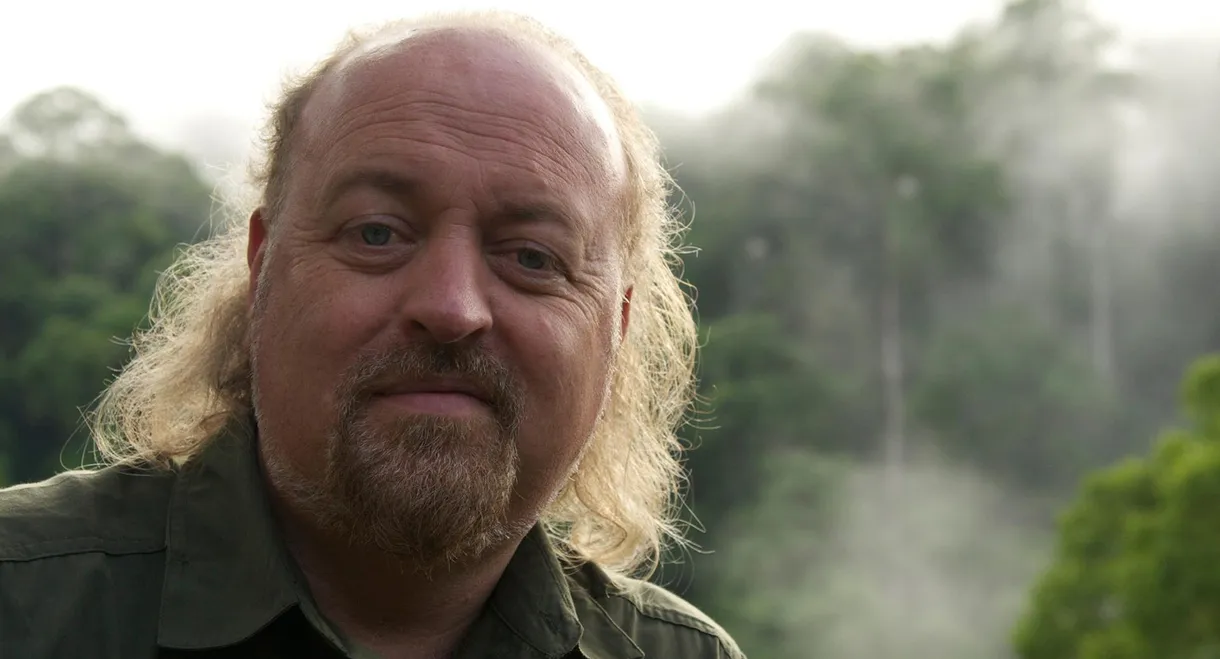 Bill Bailey's Jungle Hero