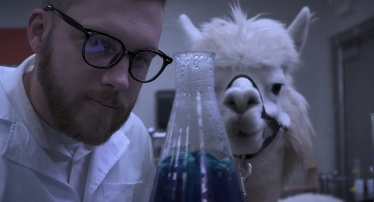Alpacalypse