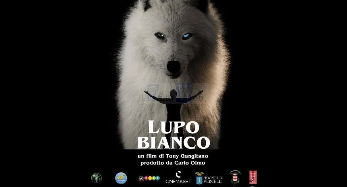 Lupo bianco