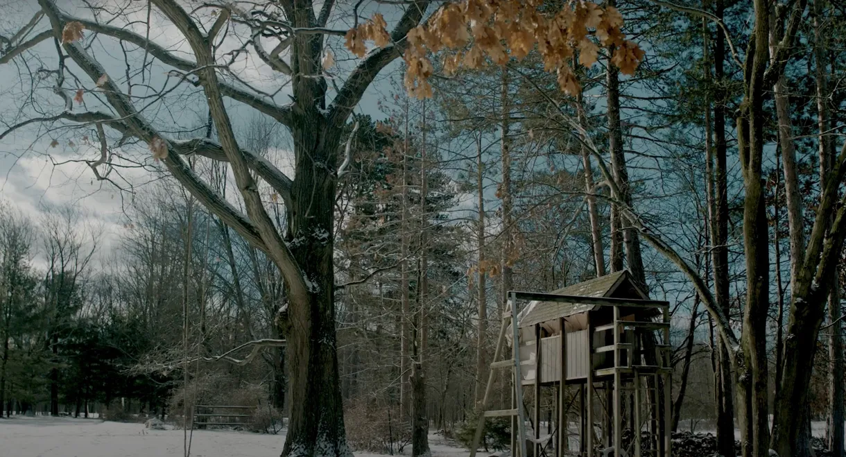 Treehouse