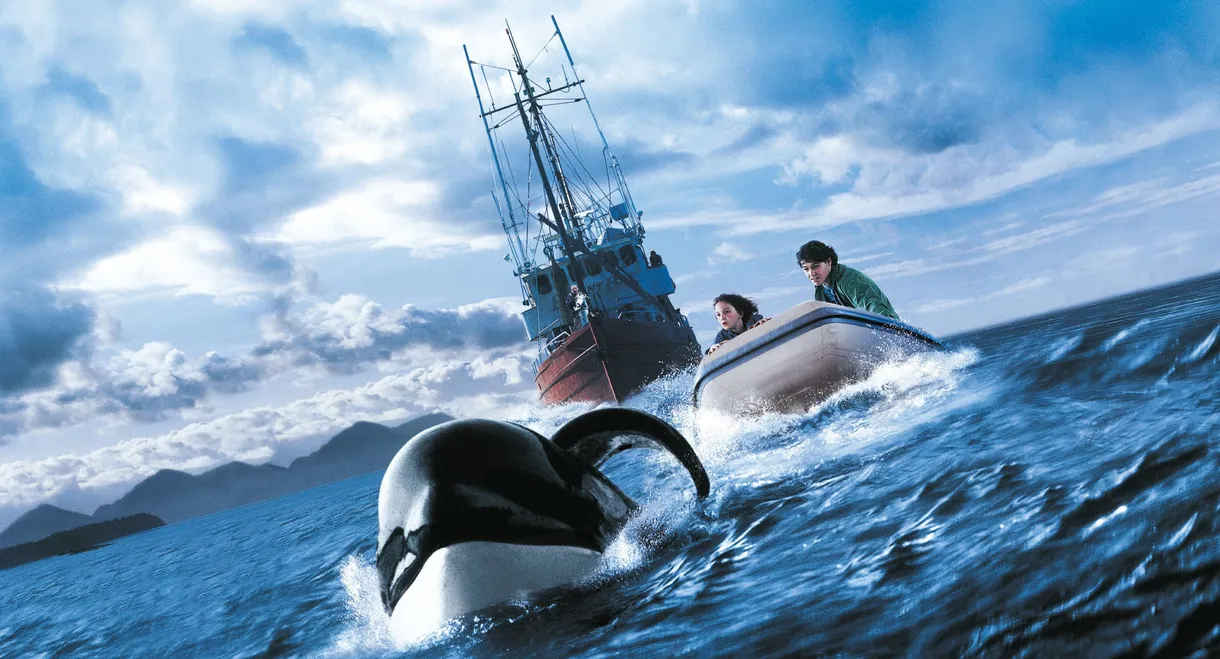 Free Willy 3: The Rescue