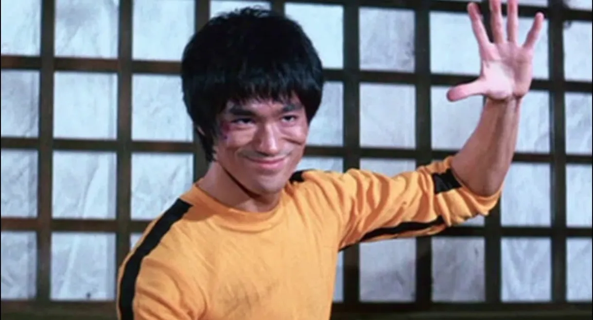 Bruce Lee: A Warrior's Journey