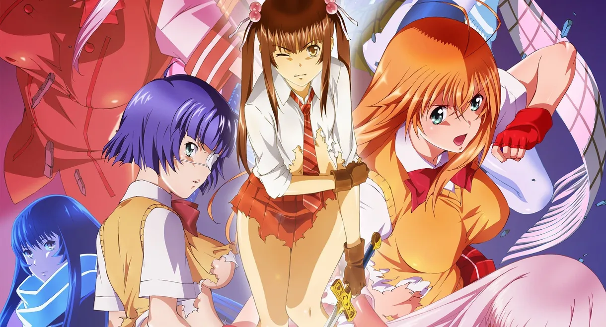 Shin Ikki Tousen