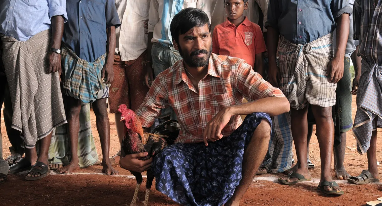 Aadukalam