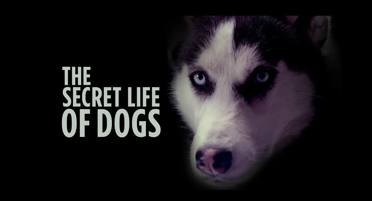 The Secret Life of Dogs