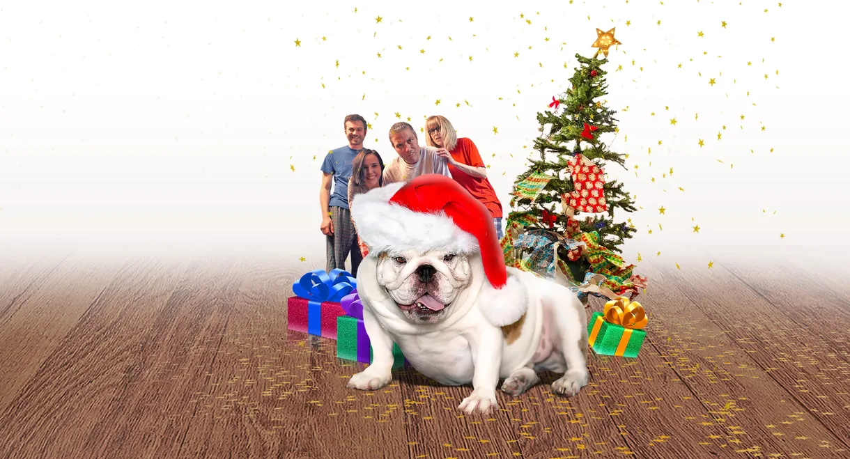 A Bulldog for Christmas