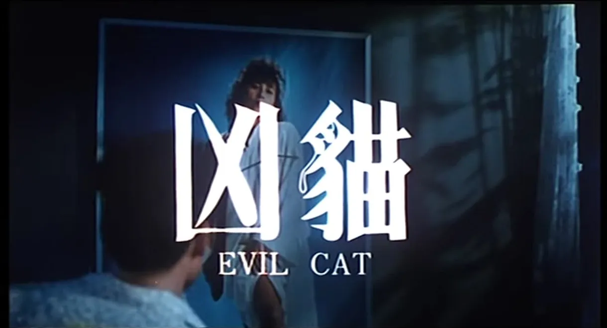 Evil Cat