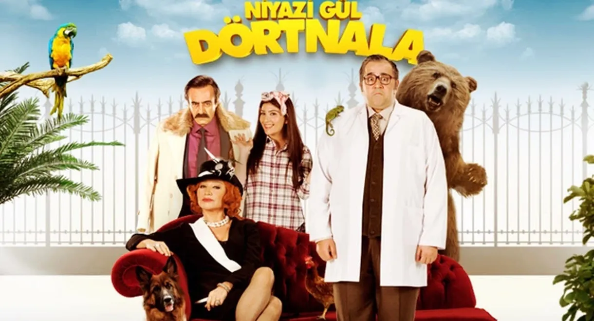 Niyazi Gül Dörtnala